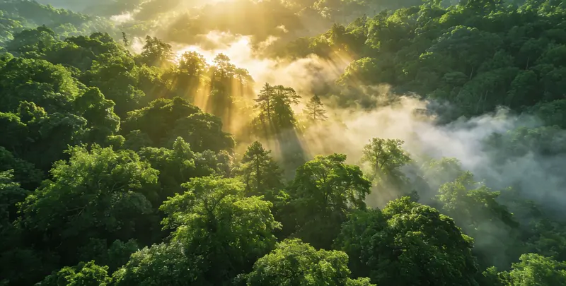 桂林肺癌11基因检测组织版图片1